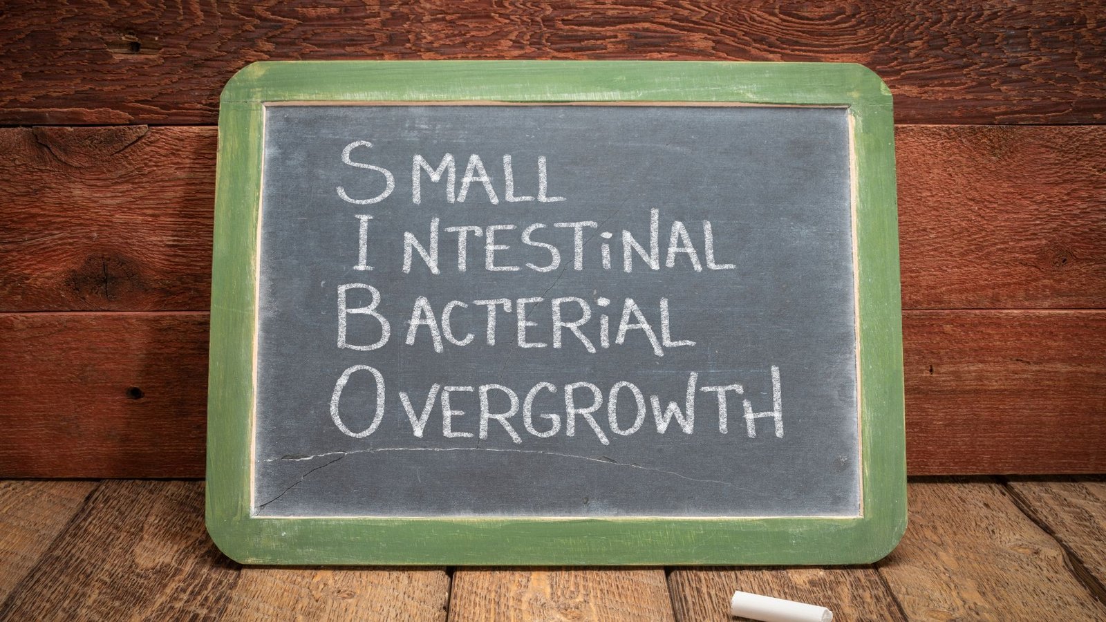 SIBO E NUTRIÇÃO: UM GUIA ESSENCIAL PARA A SAÚDE INTESTINAL